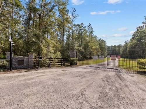 Lot 93 Aucilla Plantation 40.55 Acr : Greenville : Madison County : Florida