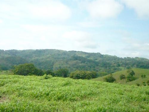 Abangares Ranch : Guanacaste : Costa Rica