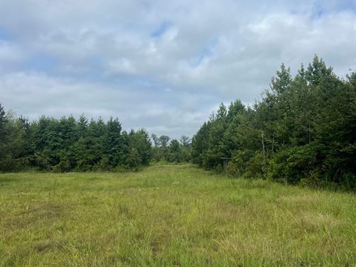 Pleasant Grove Road Recreational Tr : Monticello : Drew County : Arkansas