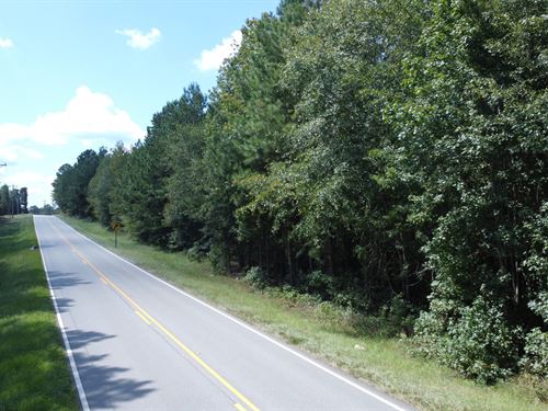 Twin Bridges Rd : Eatonton : Putnam County : Georgia