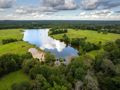 Tyj & Cypress Pines Ranch : Gilmer : Upshur County : Texas