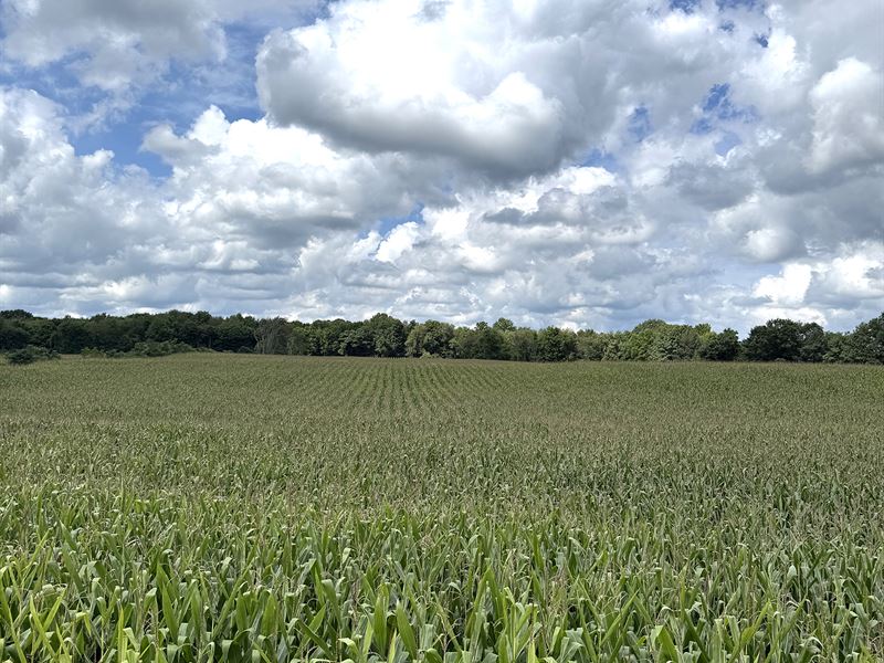 Land Auction, Berrien Co MI : Buchanan : Berrien County : Michigan