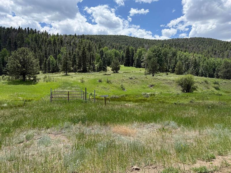 7700 Junkins Park, Westcliffe, Co 8 : Westcliffe : Custer County : Colorado