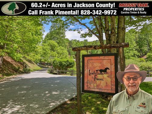 60+Acres of Multi-Use Property : Sylva : Jackson County : North Carolina