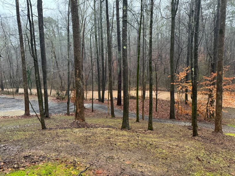 Beautiful Stone Mountain Investment : Stone Mountain : Dekalb County : Georgia
