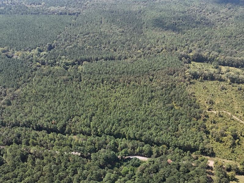 80 Acres Cr 311 in Calhoun County : Calhoun City : Calhoun County : Mississippi