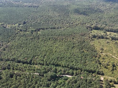 80 Acres Cr 311 In Calhoun County : Calhoun City : Calhoun County : Mississippi