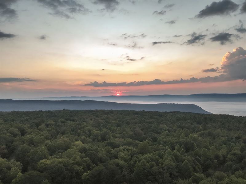 36.8 Acres in Muhlenberg County, KY : Graham : Muhlenberg County : Kentucky