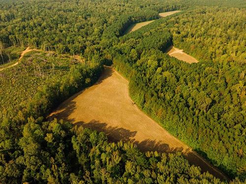 779 Acres In Lafayette County, MS : Oxford : Lafayette County : Mississippi