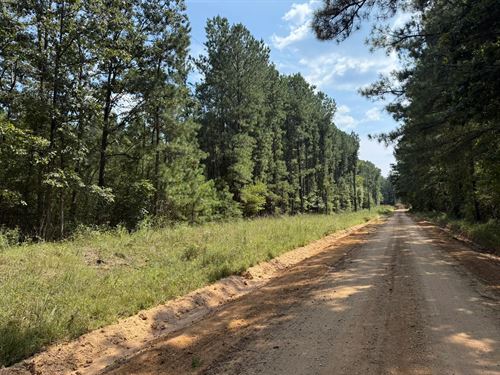114 Acres in Smith County, MS : Raleigh : Smith County : Mississippi