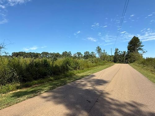 39.5 Acres In Scott County, MS : Forest : Scott County : Mississippi