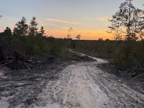 73 Acres In Kemper County, MS : Porterville : Kemper County : Mississippi