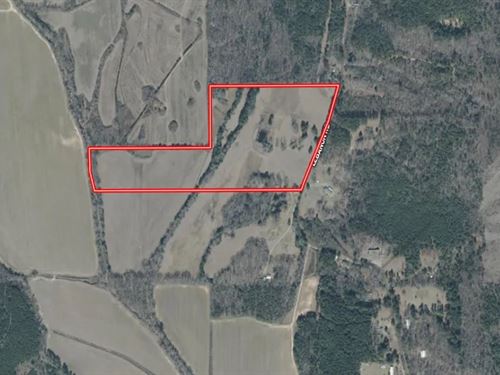 36.1 Acres in Webster County in Eup : Eupora : Webster County : Mississippi