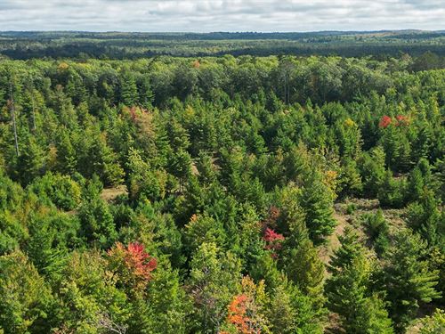 Perfect Basecamp for Adventure : Solon Springs : Bayfield County : Wisconsin