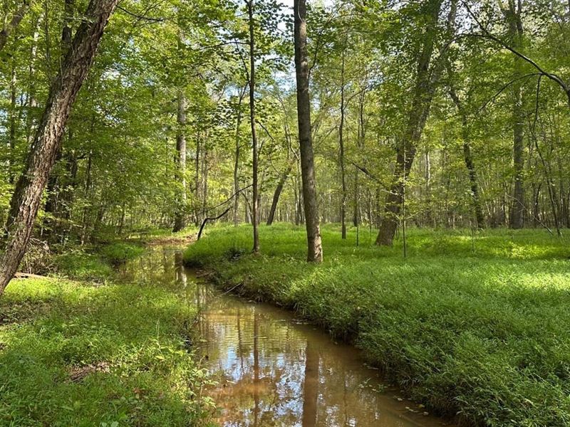 Van Creek Tract : Elberton : Elbert County : Georgia