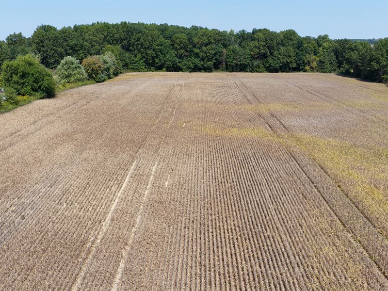 Land Auction, Grant Co. Indiana : Marion : Grant County : Indiana
