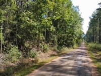 Hidden Pines : Liberty : Amite County : Mississippi