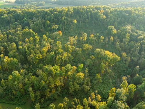 22 Acres Pepin County : Arkansaw : Pepin County : Wisconsin