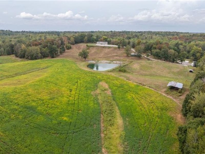 Private Country Estate : Dawson Springs : Hopkins County : Kentucky