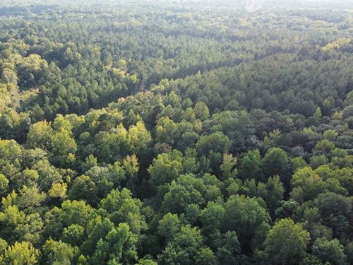 25 Acres Harris Co. Hamilton : Hamilton : Harris County : Georgia