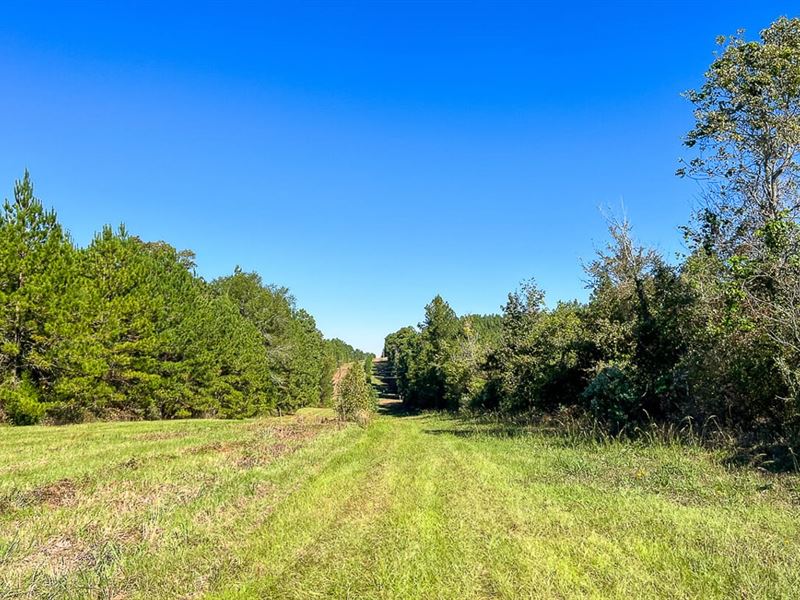 95 Acres, Private Road 512, T-6 : Center : Shelby County : Texas