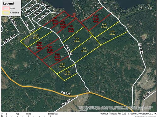 22 Acres, T-21, CR 2145 : Wheeler Springs : Houston County : Texas