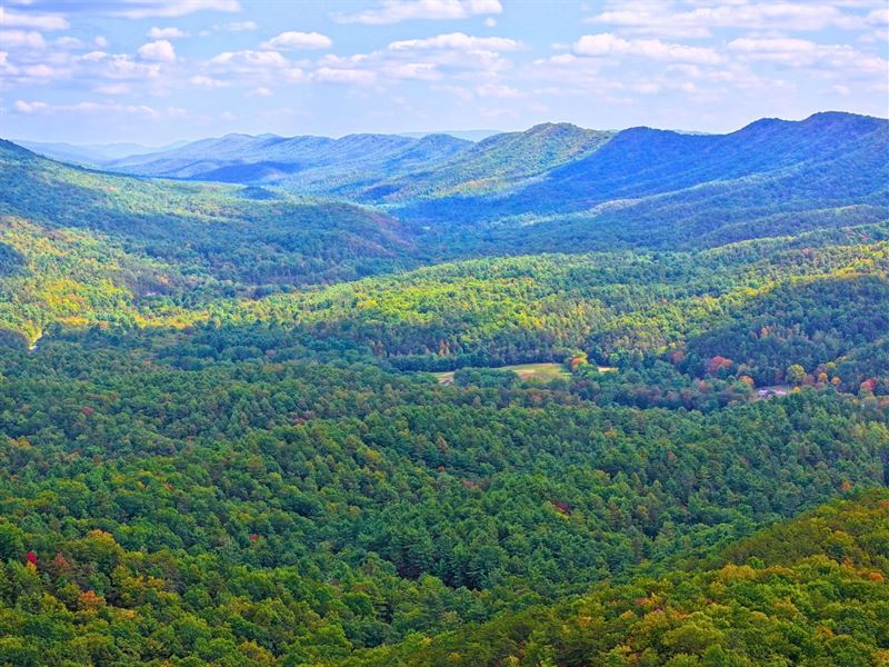 Appalachian Overlook 98 Unrestr : Wytheville : Wythe County : Virginia
