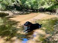 Cedar Creek Furman Black Belt : Furman : Wilcox County : Alabama