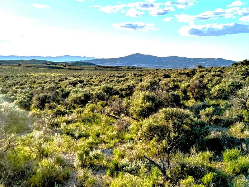 Unleash Your Skills 40 Nevada Acre : Montello : Elko County : Nevada