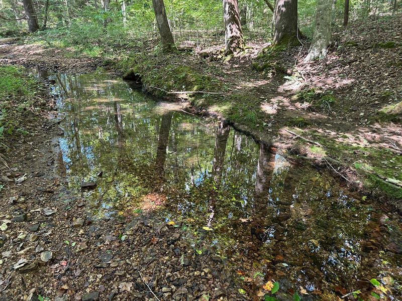 Bucksnort Hunting Paradise : Only : Hickman County : Tennessee