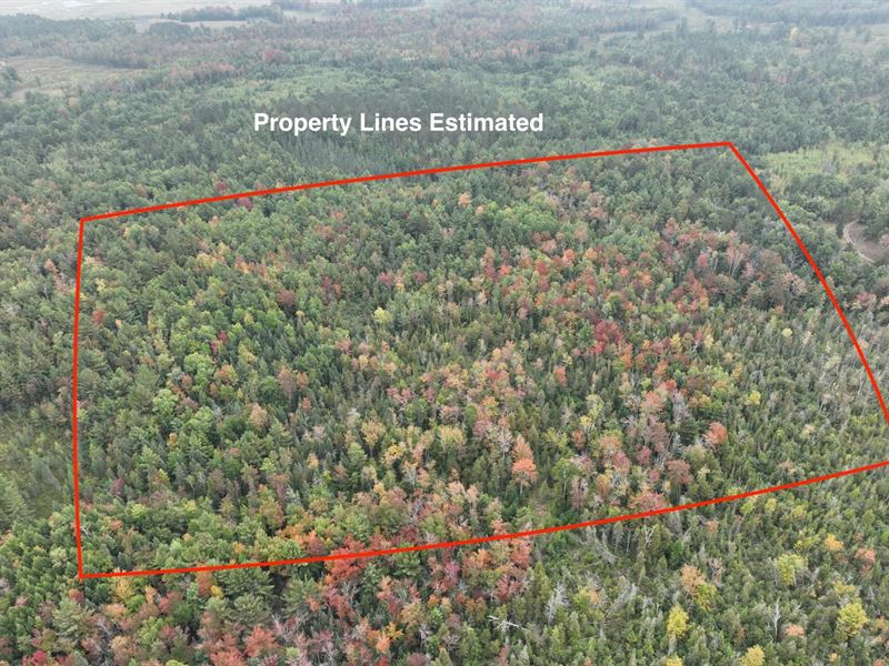 40 Acres, Prudenville MI 48651 : Prudenville : Roscommon County : Michigan