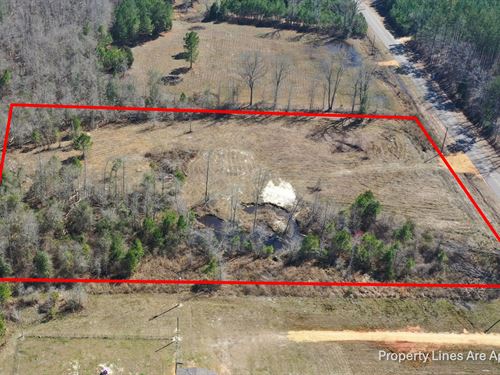 5 Acres In Crenshaw County, AL : Luverne : Crenshaw County : Alabama
