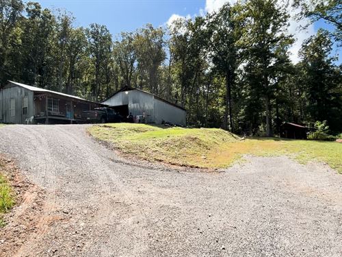 20 Acres, Cabin, Barn : Springville : Saint Clair County : Alabama
