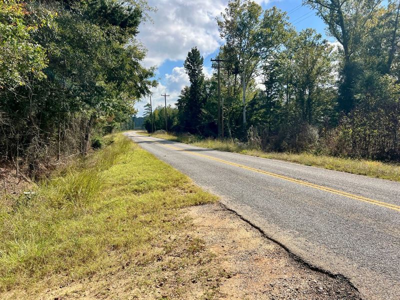 Dry Creek Tract : Brantley : Crenshaw County : Alabama