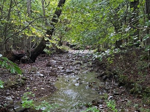 49.34 Acres Unrestricted Wooded : Palmer : Grundy County : Tennessee