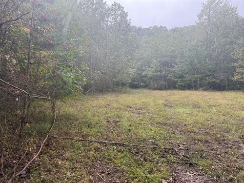 56.55 Acres Unrestricted Wooded : Palmer : Grundy County : Tennessee
