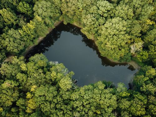 178 Acres In Holmes County, MS : Lexington : Holmes County : Mississippi