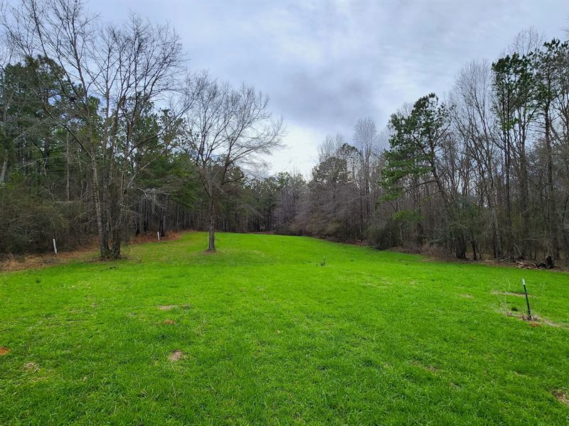 127.13 Acres in Macon County, AL : Tuskegee : Macon County : Alabama