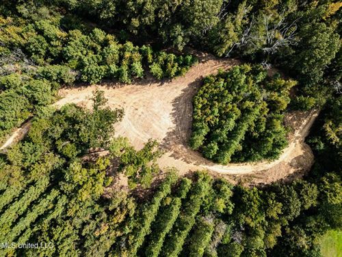 302 Acres in Hermanville, Claiborne : Hermanville : Claiborne County : Mississippi