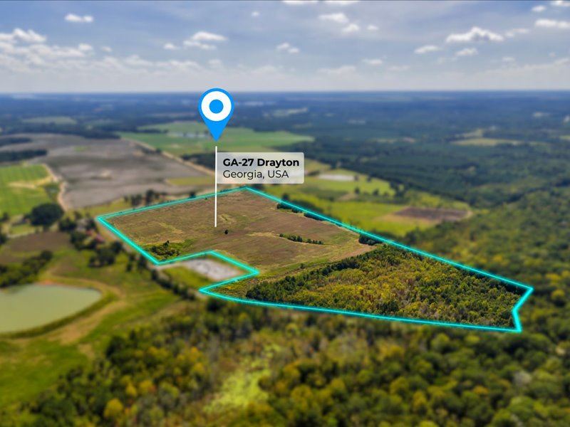 Dooly County Farm and Hunting Tract : Vienna : Dooly County : Georgia
