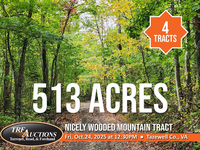 513 Wooded Acres in 4 Tracts : Bluefield : Tazewell County : Virginia