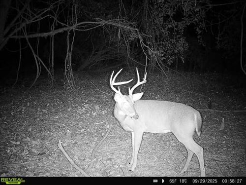 Big Black Riverfront Hunting & Fish : Durant : Holmes County : Mississippi