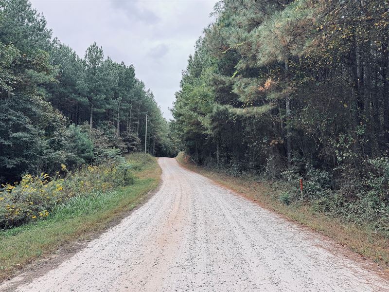38 Acres, Elbert County, Georg : Dewy Rose : Elbert County : Georgia