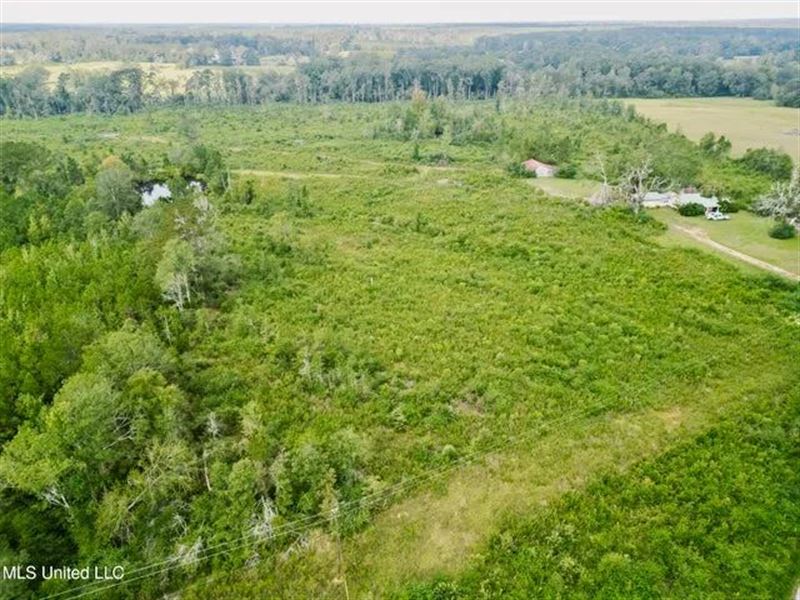 Land for Sale in Lincoln County, MS : Bogue Chitto : Lincoln County : Mississippi