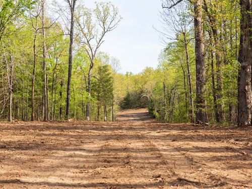 As Low as $499 Down Raw Land : Ash Flat : Fulton County : Arkansas