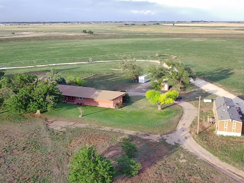 Clovis, NM Farmland Auction : Clovis : Curry County : New Mexico