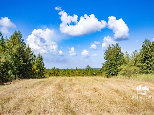 805 Ac Prime Recreation Timberland : Cuthbert : Randolph County : Georgia