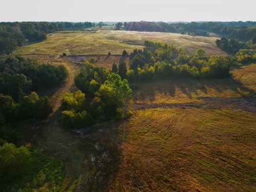 Double Creek Ranch 100 Acres Lamar : Sumner : Lamar County : Texas