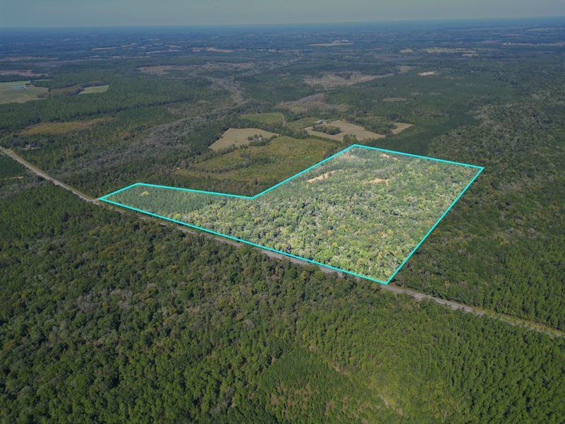 78 Acres Timber & Creekfront Invest : Bonifay : Holmes County : Florida