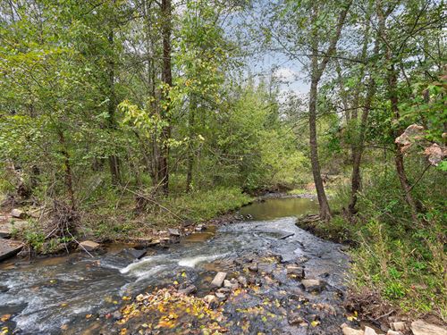 New Hope Vesta Tract 1 : Carlton : Oglethorpe County : Georgia